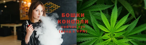 индика Бронницы